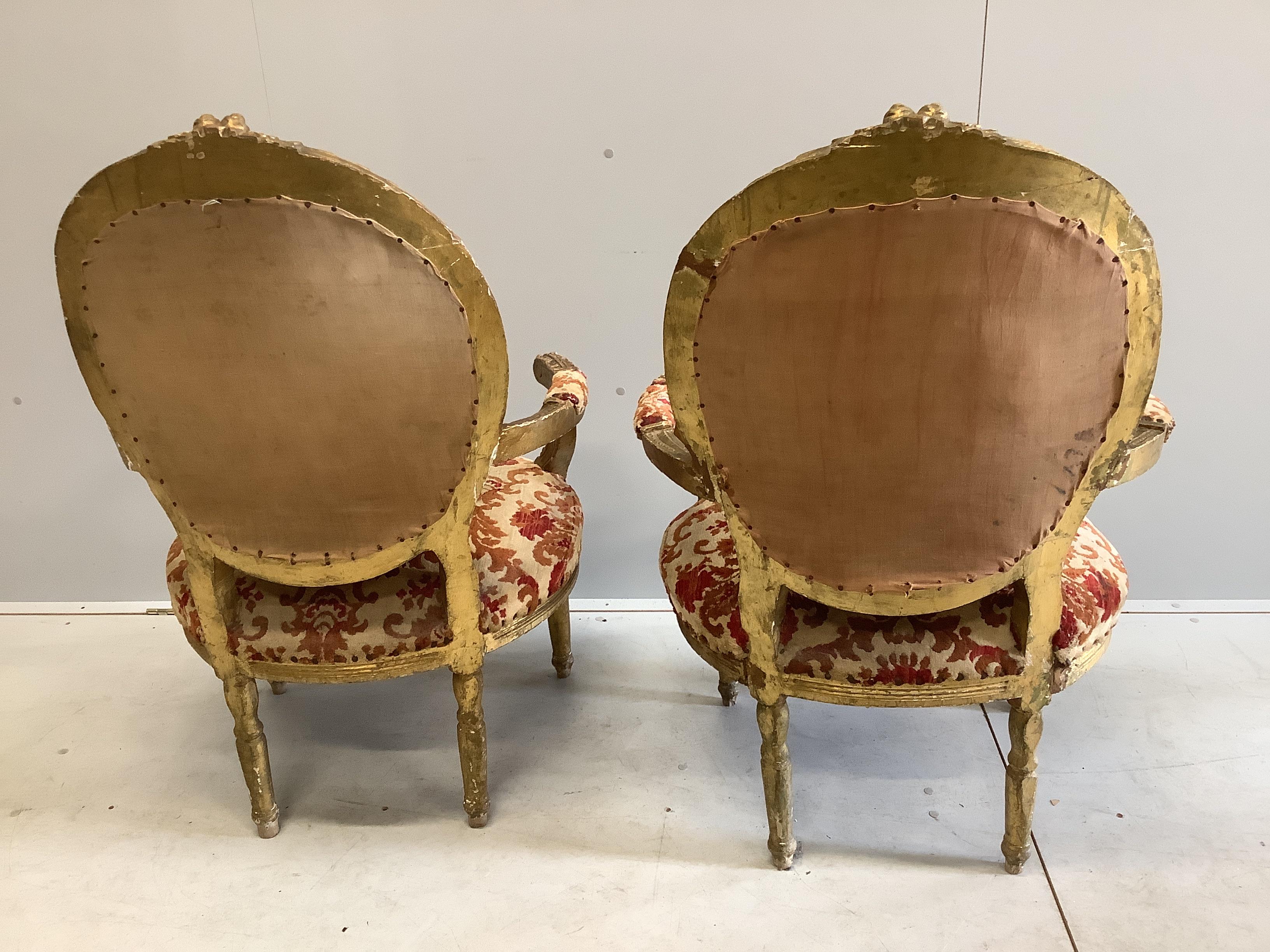 A pair of Louis XVI style giltwood and composition tub framed open armchairs, width 70cm, depth 60cm, height 105cm